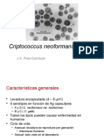 CRYPTOCOCCUS.pptx