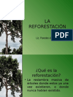 Diapositiva, Reforestacion