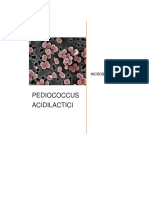 Pediococcus Acidilactici
