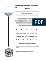 Tesis.pdf