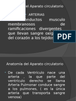 Anatomía del Aparato circulatorio.pptx