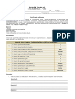 Ficha Trabalho Propriedades Dos Minerais