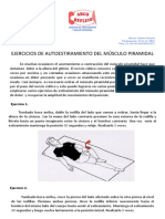 AUTOESTIRAMIENTOS DEL PIRAMIDAL (1).pdf