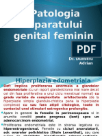 Lp19 Pat. Aparat Gen. Feminin