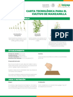 Manzanilla Carta Tecnologica