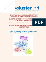 Infocluster 11