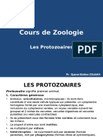 Protozoaires Cours