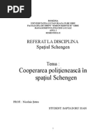 Cooperarea Politieneasca in Spatiul Schengen - Sapta Doru, MPL 1, SEM 2