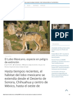 El Lobo Mexicano, Especie en Peligro de Extinción - Guía Turística de México - Travel by México