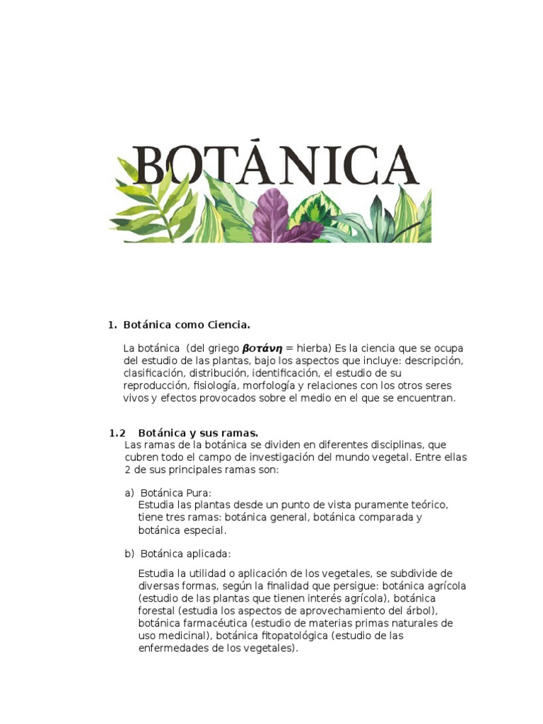 Ramas y campos de la botánica | PDF | Botánica | Plantas