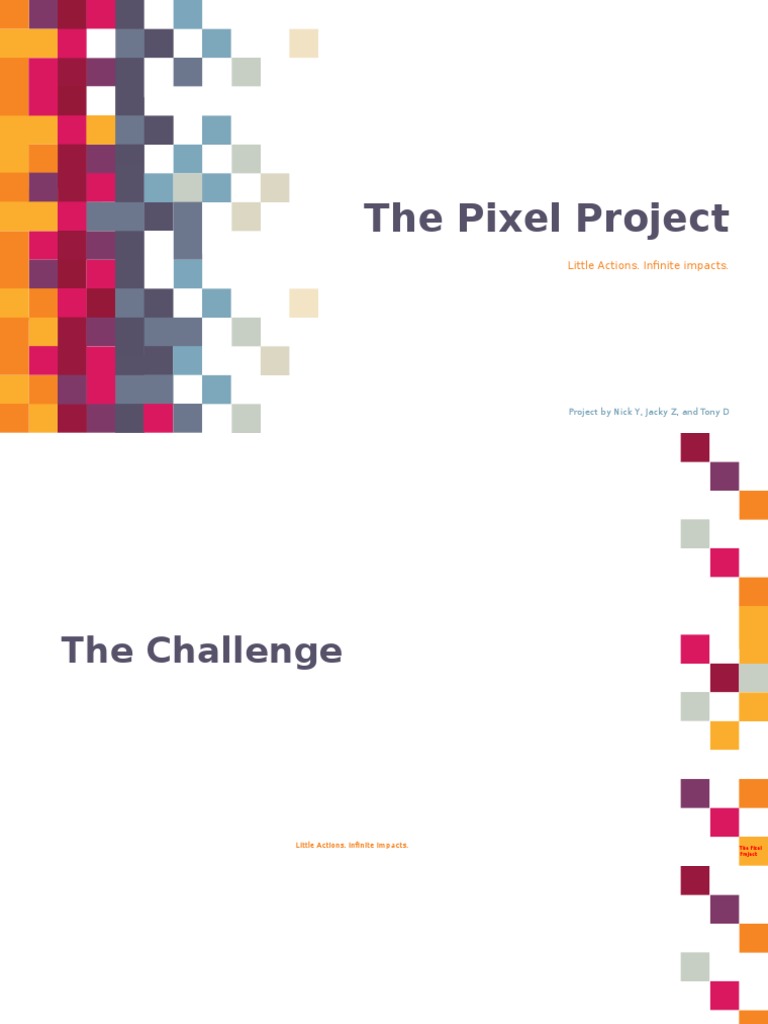 The Pixel Project: Little Actions. Infinite Impacts | PDF