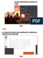 El Dictamen Del Auditor Sobre Compromisos de Auditoria Con Proposito Especial (Nia 800)