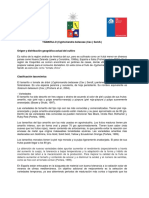 TAMARILLO 2011.pdf