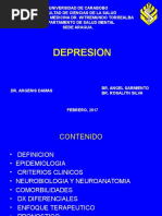 LAMINAS ROSALITH DEPRESION