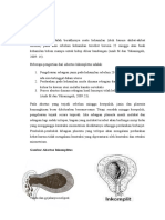 Manajemen Teori Kebidanan Abortus Inkomplit