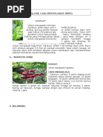 Asam Urat 10 Icd