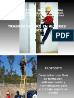 46513316-Trabajo-Seguro-en-Postes.pdf