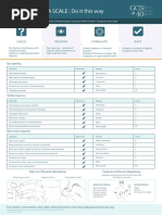 GCS Assessment Aid English PDF