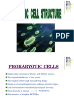 PROKARYOTIC  CELL-1.pps