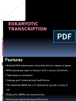 UNIT 7 eukaryotic transcription.pptx