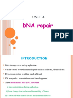 unit 4 DNA repair.pptx