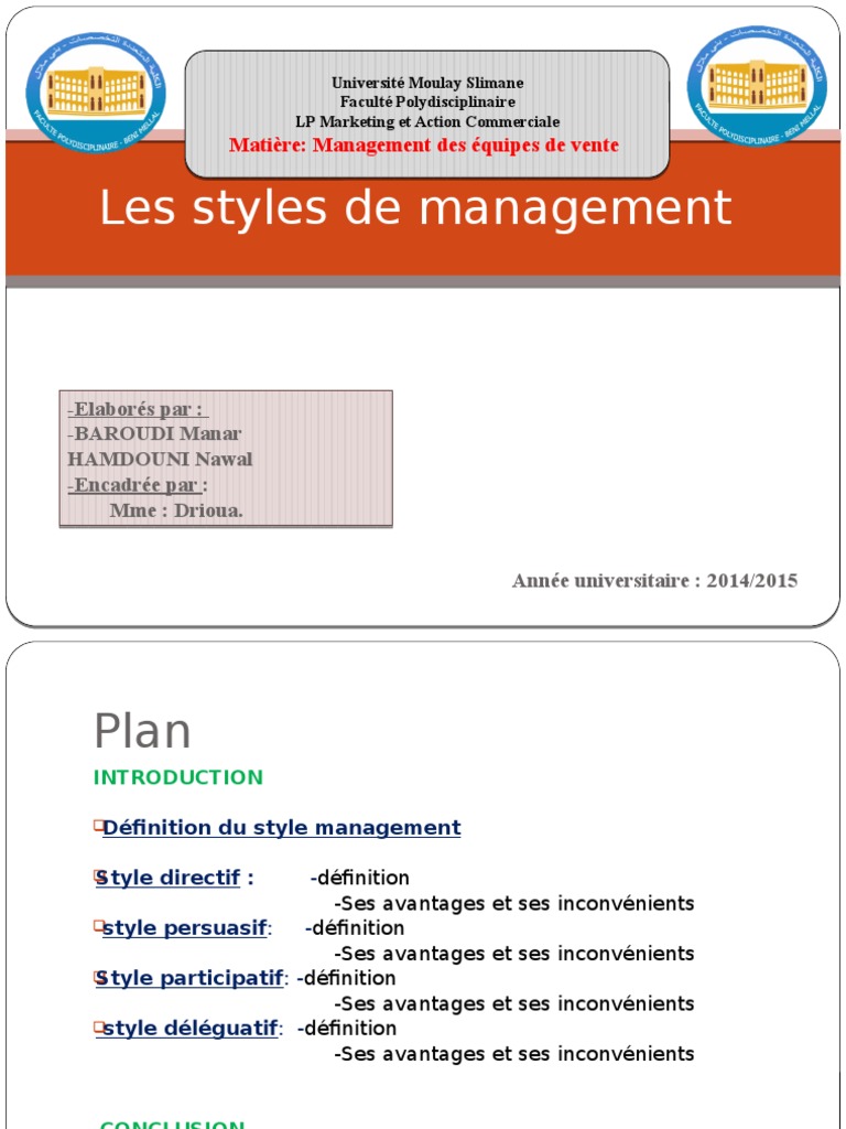 Styles de management : définitions et enjeux | PDF | Créativité | Science
