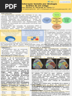 Radioterapia Guiada por Biologia