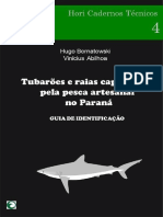 Guia identificação tubarões e raias - PR.pdf