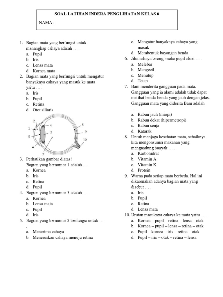 Soal Latihan Mata | PDF