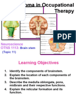 Diploma in Occupational Therapy