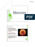 Meiosis.pdf