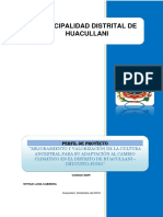 PIP Adaptación Al Cambio Climático PDF