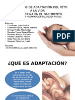 Mecanismos de Adaptacion Del Feto A La Vida Extrauterina en El Nacimiento