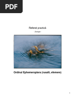 Practica Zoologie