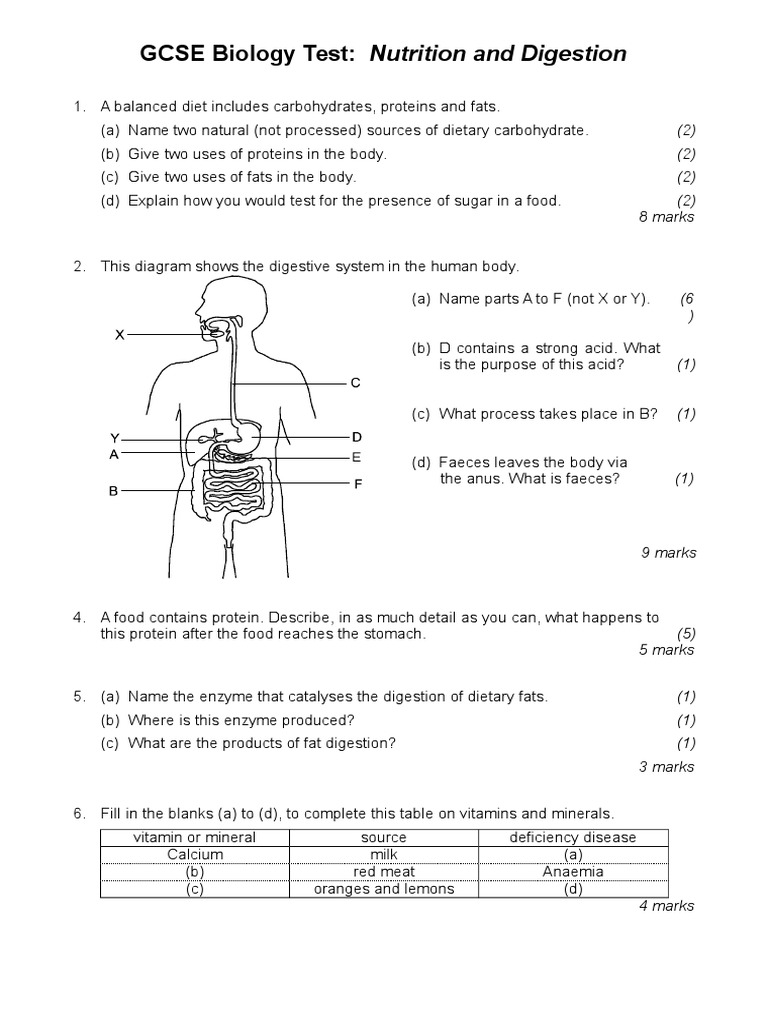 Csec Biology Digestion Test Digestion Nutrition