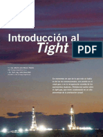 56-Introduccion Al Tight Gas.pdf