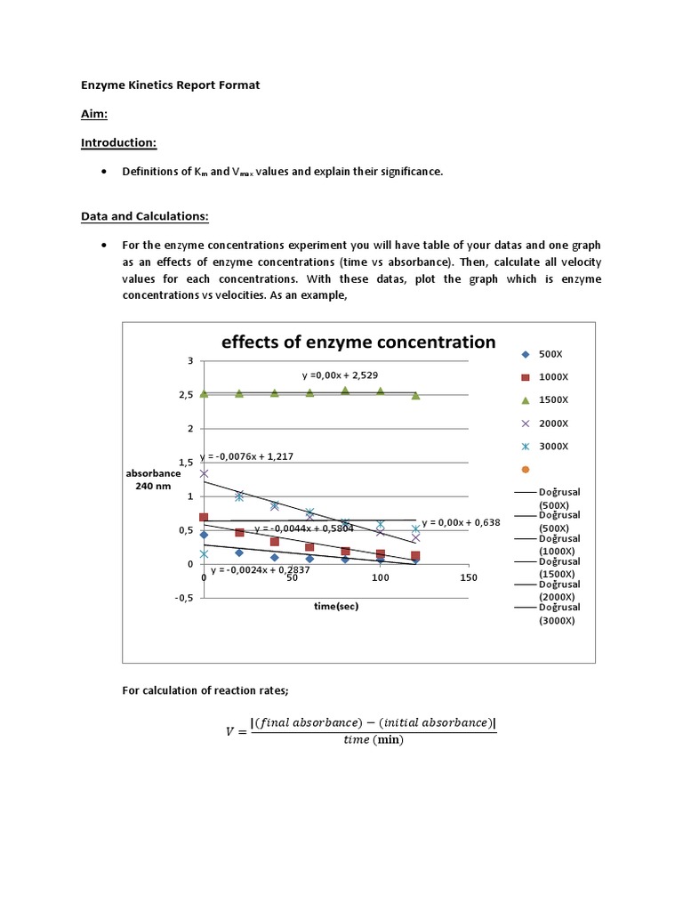 Enzyme Report Format PDF Catalysts Catalysis