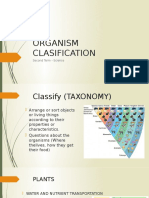 Organism Clasification: Second Term - Science