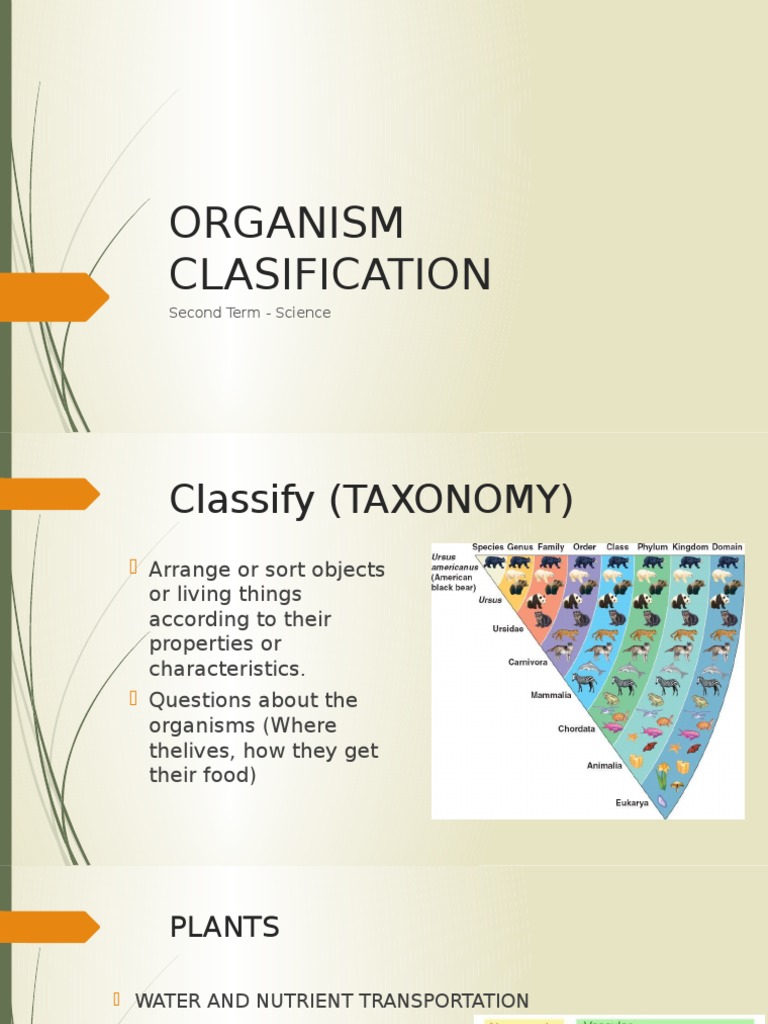 Organism Classification Basics | PDF | Science & Mathematics