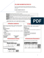 resumen-anc3a1liasis-morfolc3b3gico2.pdf