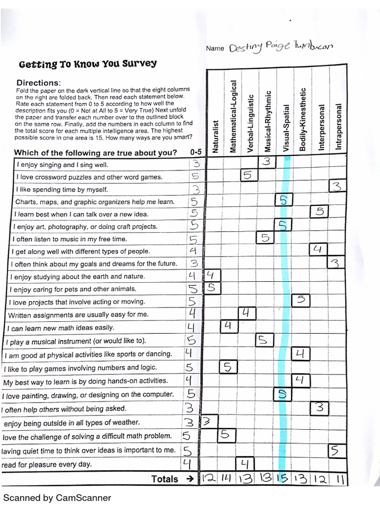 Multiple Intelligence PDF