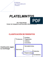 zTaenia platelmintos Céstodos intestino