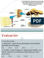 Clase # 3 Micología.2017.Maria