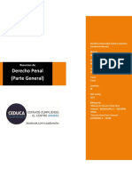 89569739-Resumen-Derecho-Penal-Parte-General.pdf