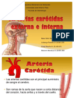 Diapositivas Carotidas