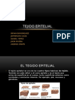 Tejido Epitelial