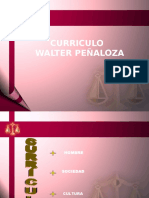 Curriculo Integral de Walter Peñaloza