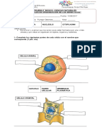 Prueba Ciencias Naturales 5 Adecuada