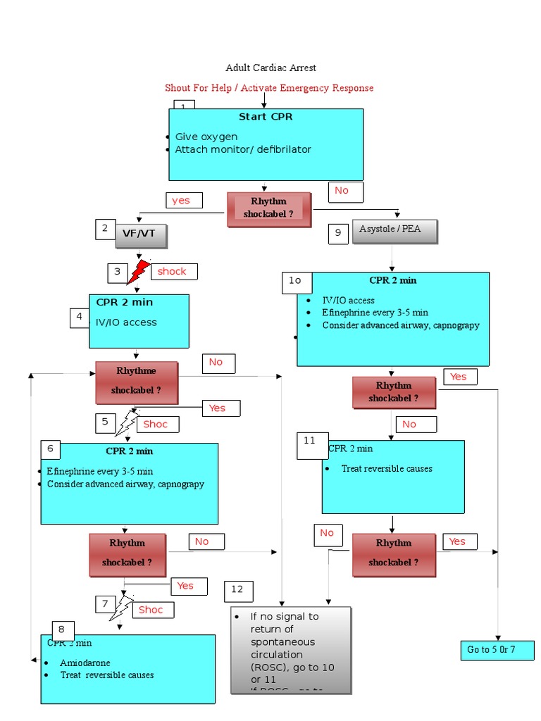Adult Cardiac Arrest Management Algorithm | PDF | Cardiopulmonary ...