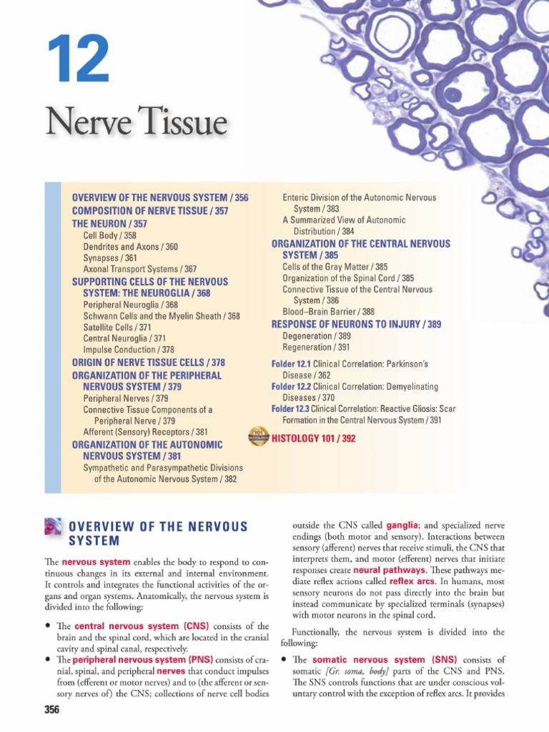 Histology essay 02 image